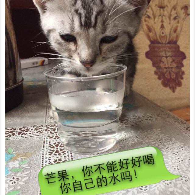 办理安德鲁斯大学毕业证